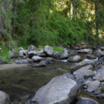 Sendero La Confluencia – Parque Nacional Nonguén
