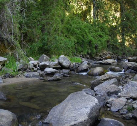 Sendero La Confluencia – Parque Nacional Nonguén