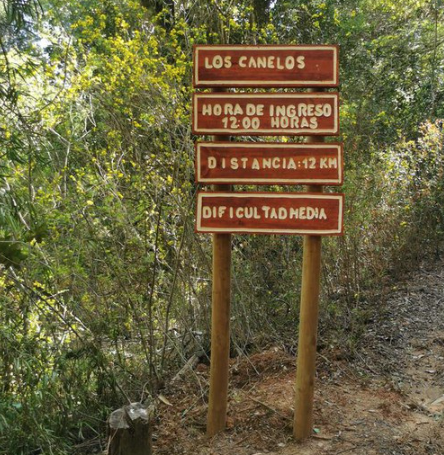 Sendero Los Canelos – Parque Nacional Nonguén-.png