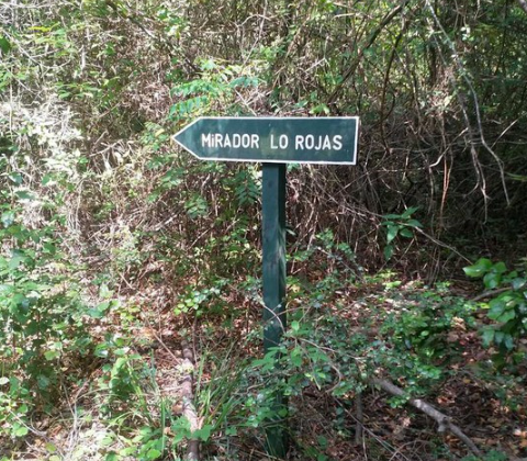 Sendero Los Rojas – Parque Nacional Nonguén