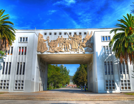 universidad de concepcion